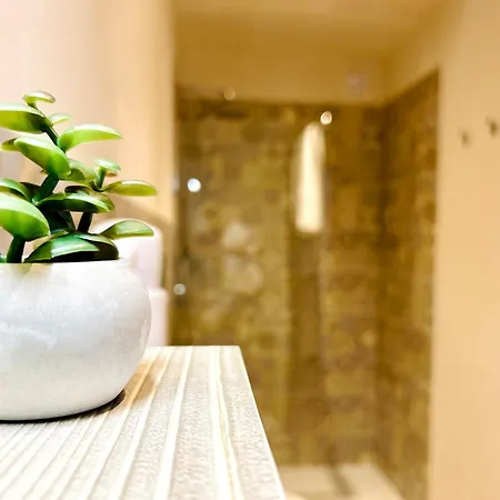 Alencio Comfort Urbano 住宿加早餐酒店 4*