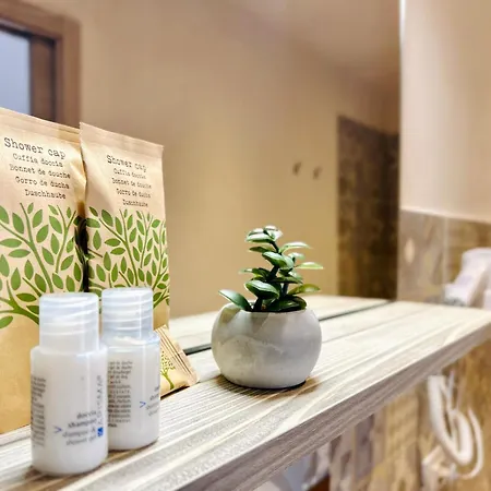 住宿加早餐酒店 Alencio Comfort Urbano 4*