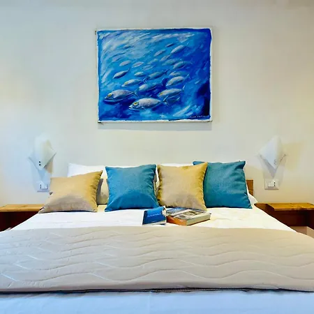 Alencio Comfort Urbano 住宿加早餐酒店