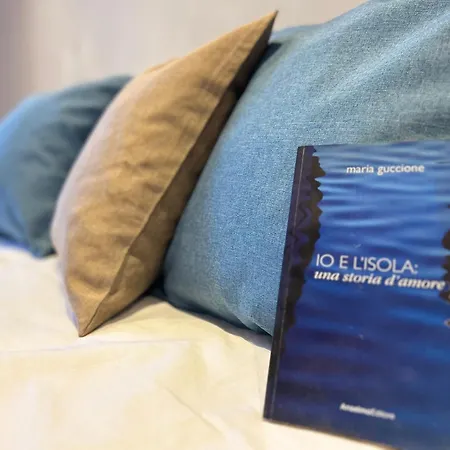 Alencio Comfort Urbano 住宿加早餐酒店 4*