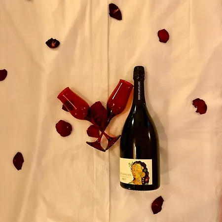 Alencio Comfort Urbano 住宿加早餐酒店 法维尼亚纳