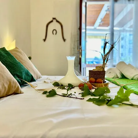 Alencio Comfort Urbano 4*