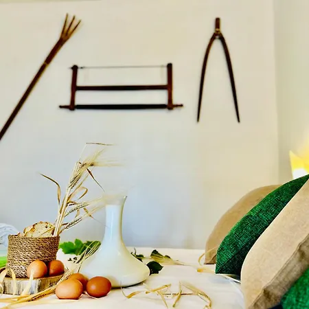 Alencio Comfort Urbano 住宿加早餐酒店 4*