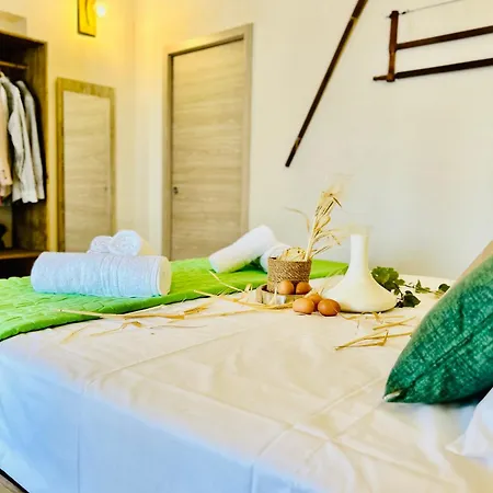 住宿加早餐酒店 Alencio Comfort Urbano 4*