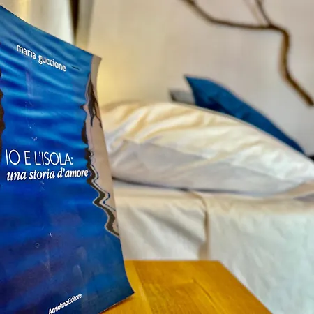 Alencio Comfort Urbano 住宿加早餐酒店