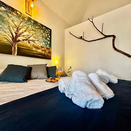 Alencio Comfort Urbano 住宿加早餐酒店 4*